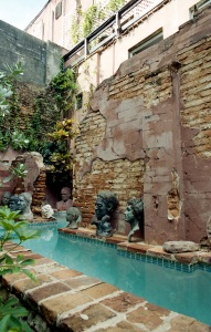 bvi_nikon_C41-web-018