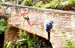 bvi_nikon_C41-web-019