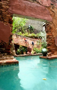 bvi_nikon_C41-web-026