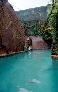 bvi_nikon_C41-web-027