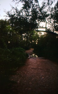 bvi_nikon_E6-WEB-002