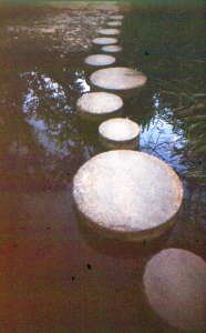 bvi_nikon_E6-WEB-003