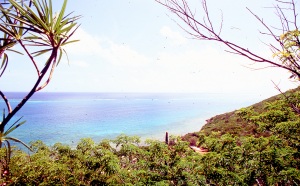 bvi_nikon_E6-WEB-004
