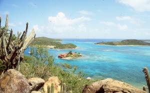 bvi_nikon_E6-WEB-012