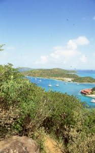 bvi_nikon_E6-WEB-014