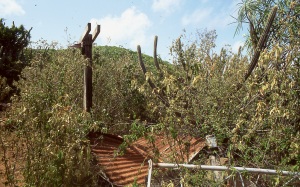 bvi_nikon_E6-WEB-015