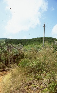 bvi_nikon_E6-WEB-016