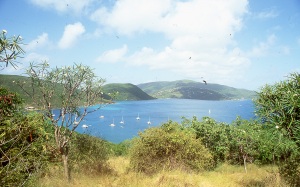 bvi_nikon_E6-WEB-017