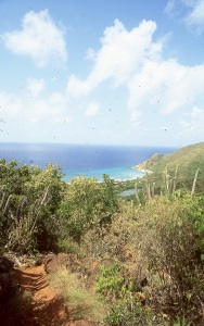bvi_nikon_E6-WEB-018