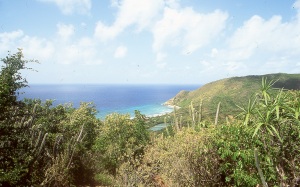 bvi_nikon_E6-WEB-019