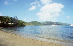 bvi_nikon_E6-WEB-024