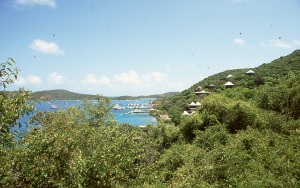 bvi_nikon_E6-WEB-025