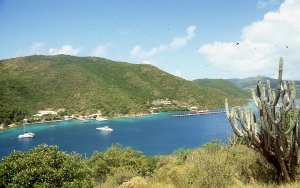 bvi_nikon_E6-WEB-027