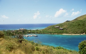 bvi_nikon_E6-WEB-028