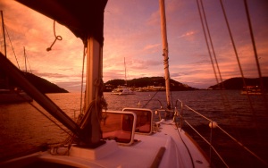 bvi_nikon_E6-WEB-031