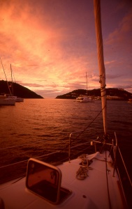 bvi_nikon_E6-WEB-032
