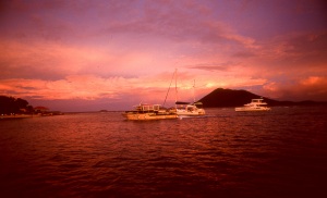 bvi_nikon_E6-WEB-034