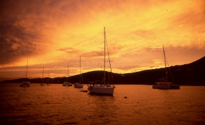 bvi_nikon_E6-WEB-035