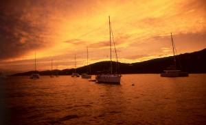 bvi_nikon_E6-WEB-036