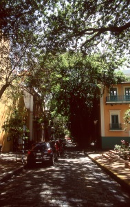 bvi_nikon_E6-WEB-037