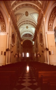 bvi_nikon_E6-WEB-038