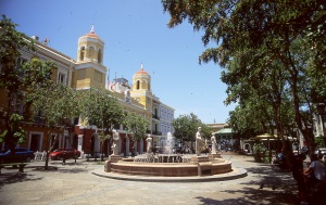 bvi_nikon_E6-WEB-041