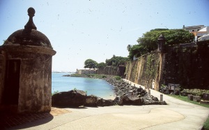 bvi_nikon_E6-WEB-044