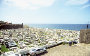 bvi_nikon_E6-WEB-048
