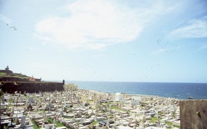 bvi_nikon_E6-WEB-049