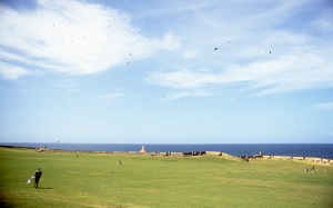 bvi_nikon_E6-WEB-051