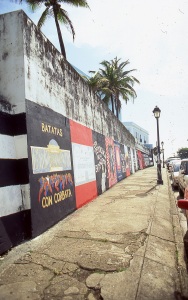 bvi_nikon_E6-WEB-066