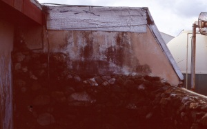 bvi_nikon_E6-WEB-077