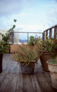 bvi_nikon_E6-WEB-082