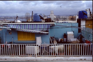 bvi_nikon_E6-WEB-086