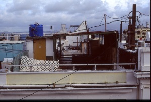 bvi_nikon_E6-WEB-087