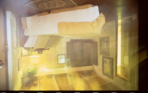 bvi_nikon_E6-WEB-091