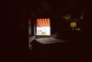 bvi_nikon_E6-WEB-095
