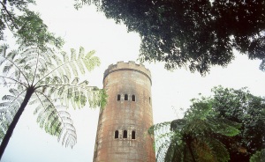 bvi_nikon_E6-WEB-097