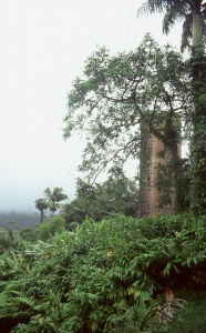bvi_nikon_E6-WEB-098