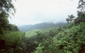 bvi_nikon_E6-WEB-099