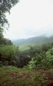 bvi_nikon_E6-WEB-100