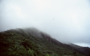 bvi_nikon_E6-WEB-104