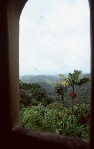 bvi_nikon_E6-WEB-106