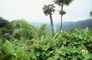 bvi_nikon_E6-WEB-107