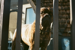 expired_project_rolltwo_fuji200-000002720015