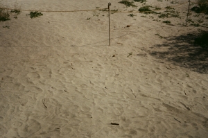 expired_project_rolltwo_fuji200-000002720021
