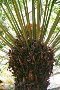 f2-C41-WEB-000027960010