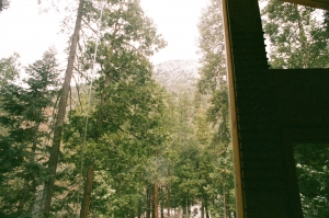 f2-C41-WEB-000027970010