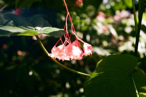 f2-C41-WEB-000027970020