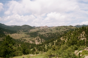 f2-C41-WEB-000027970025